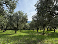 /album/galleria-di-foto/whatsapp-image-2025-10-12-at-15-30-04-jpeg/